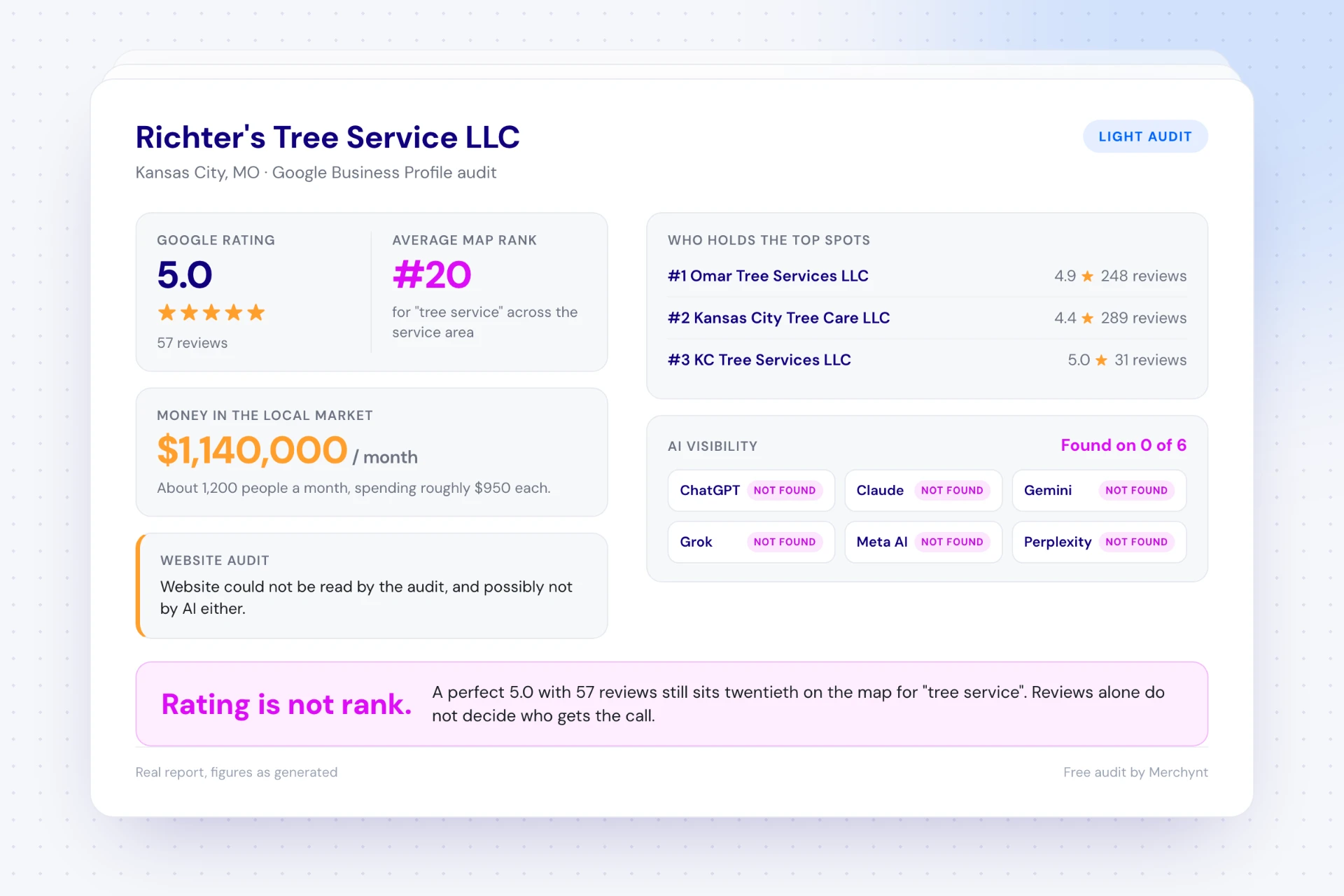 Light audit for Richter's Tree Service: five-star rating, average map rank, market revenue estimate, top competitors and AI visibility.